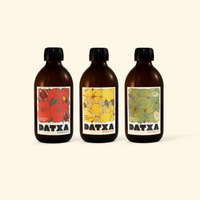 Datxa découverte - 30cl - Lot de 12 bouteilles