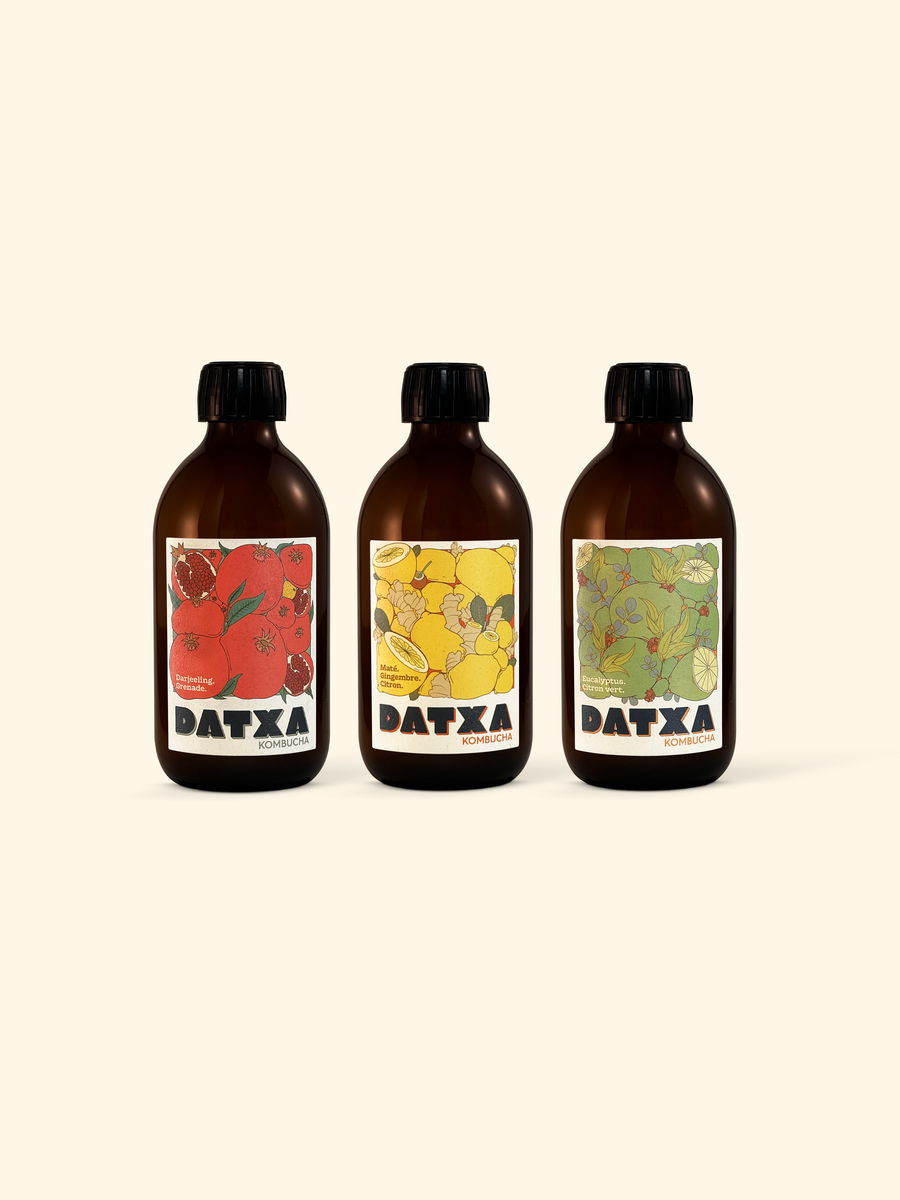 Datxa découverte - 30cl - Lot de 12 bouteilles